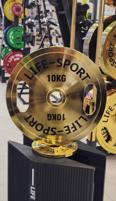 Life Sport Pro Bronze Coating Change Plate 10 kg